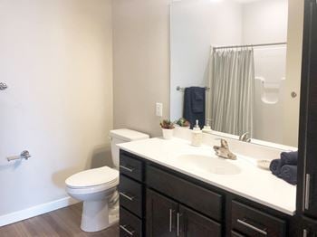 Warm tone bathroom option at frost english sliver 55+ senior living